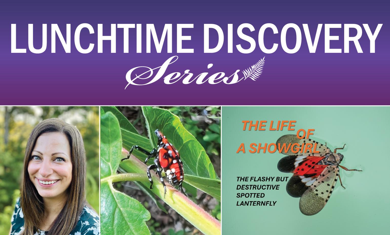 Lunchtime talk graphic for November 12, 2025 at noon