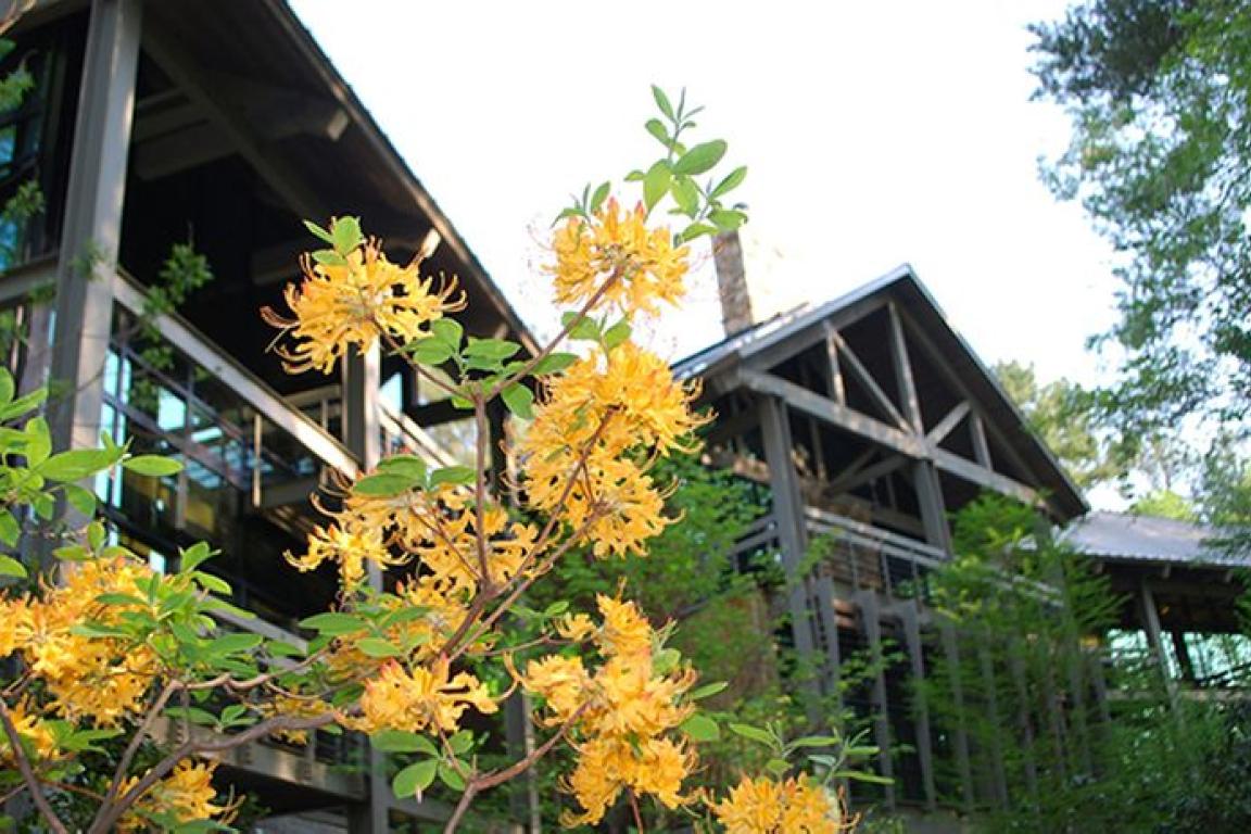 Center for the Environment building. A native azalea is in the foreground. 