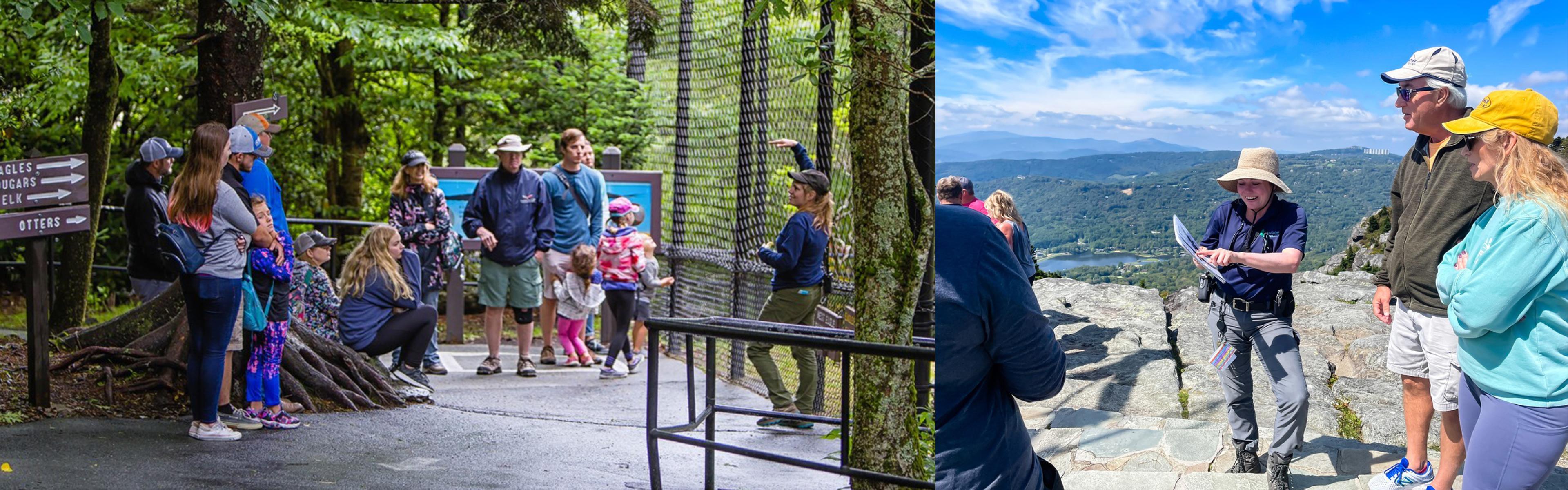 Elizabeth Trott giving two different programs in woods and on top of an overlook 
