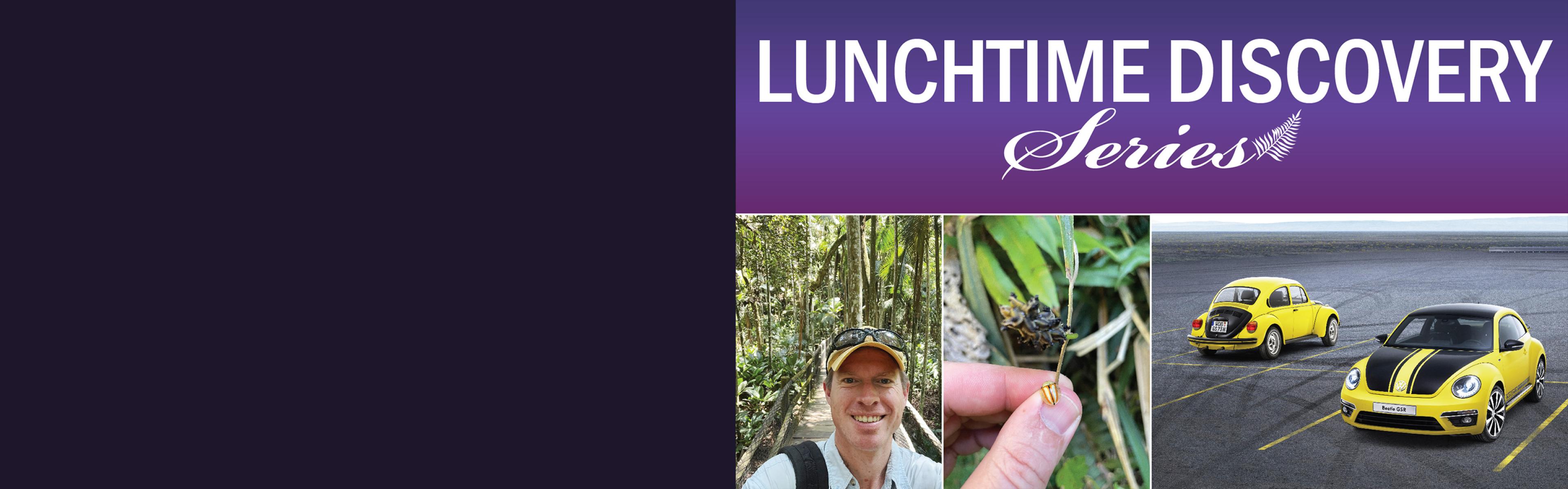 Graphic for Biomimicry talk on November 19 at noon