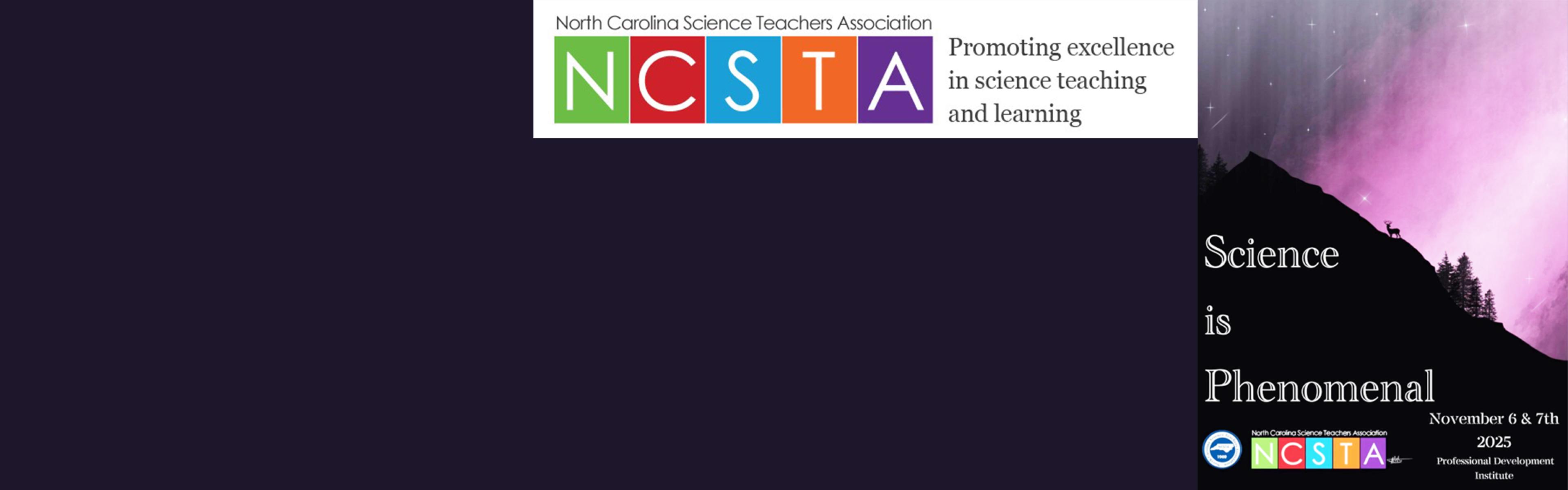 graphic for NCSTA professional development institute