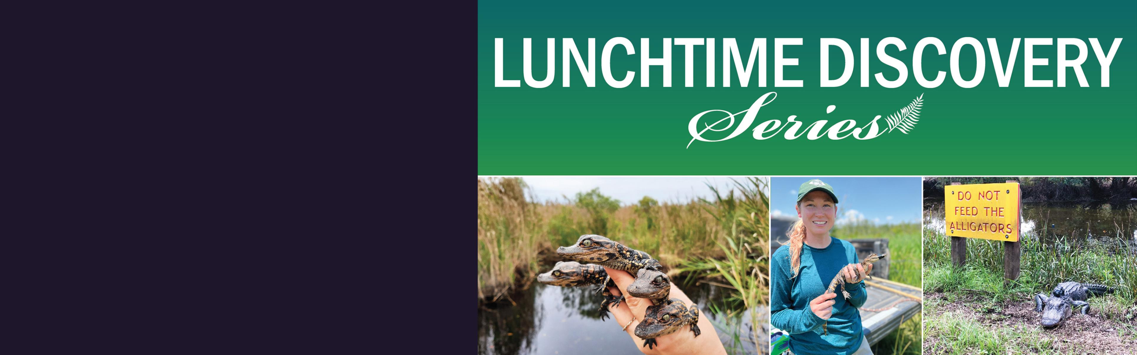 graphic for alligator talk on December 10 at noon 