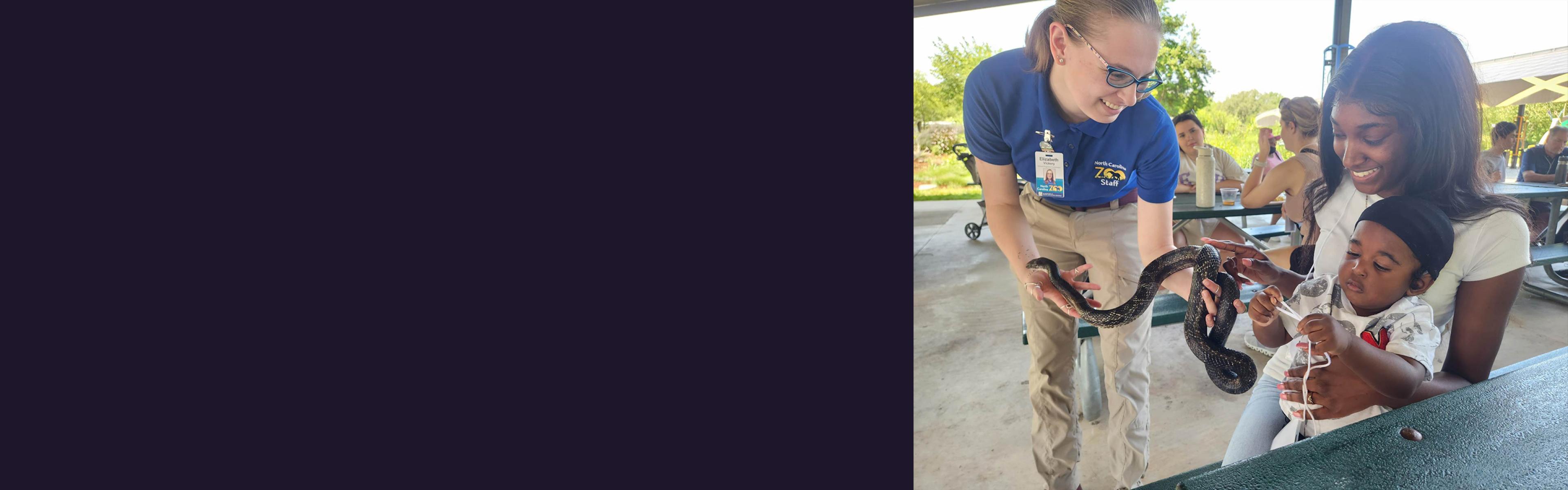 Elizabeth Vickery-Lewis