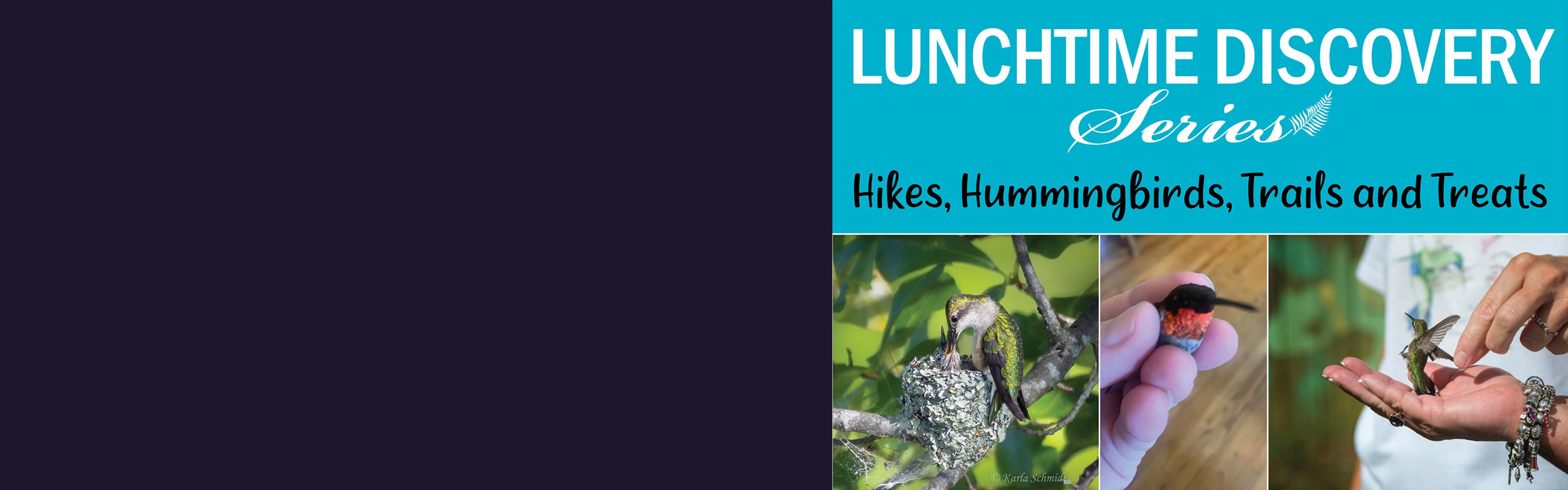 graphic for hummingbird talk on May 20 at noon 