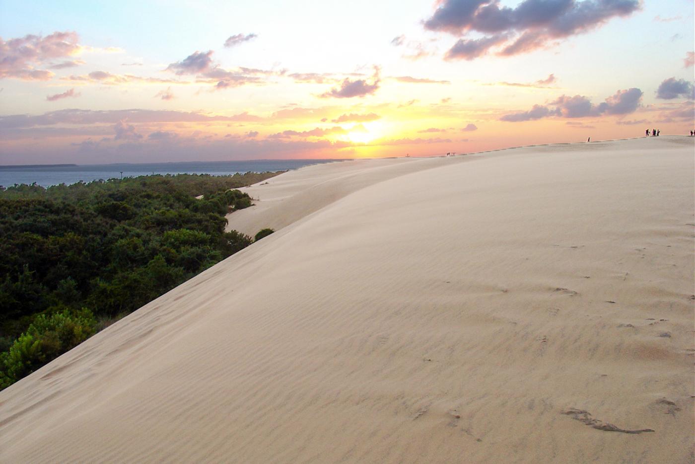 Jockeys Ridge view from sand dune
