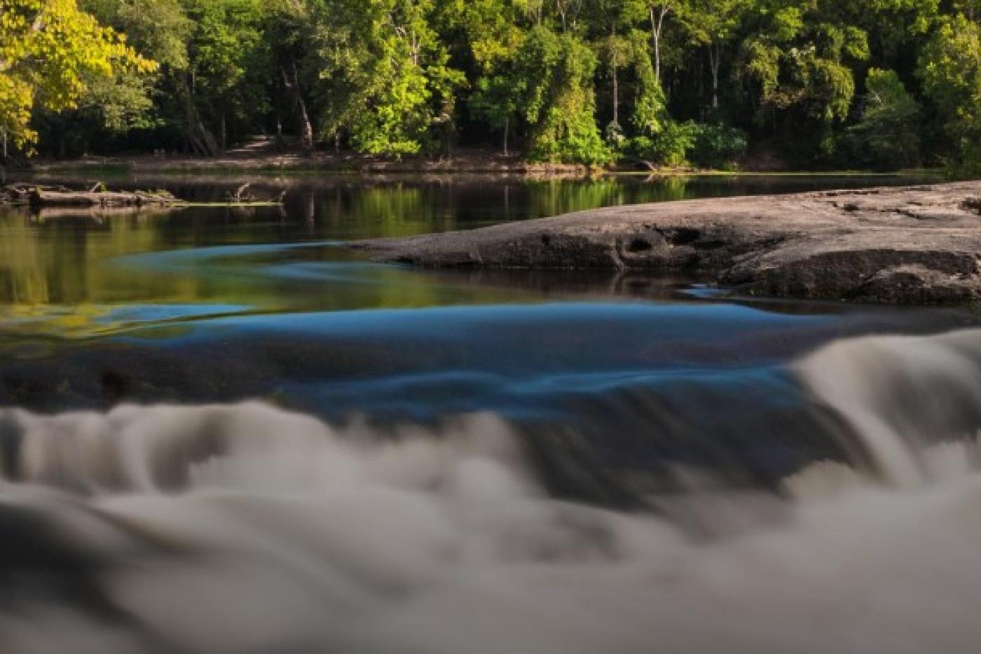 Rapids at Raven Rock State Park. Photo by Charlie Peek.