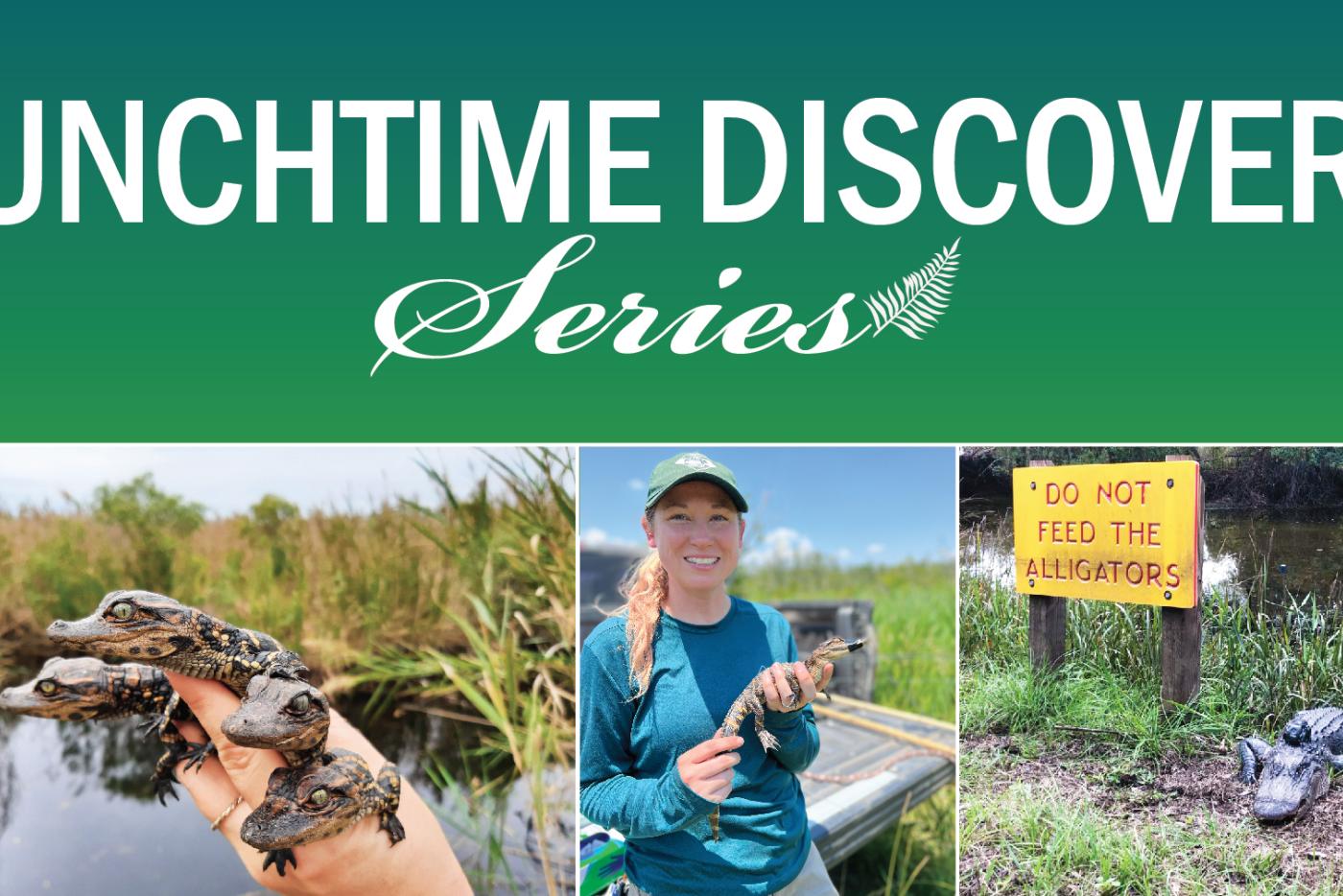 Dec. 10 talk at noon