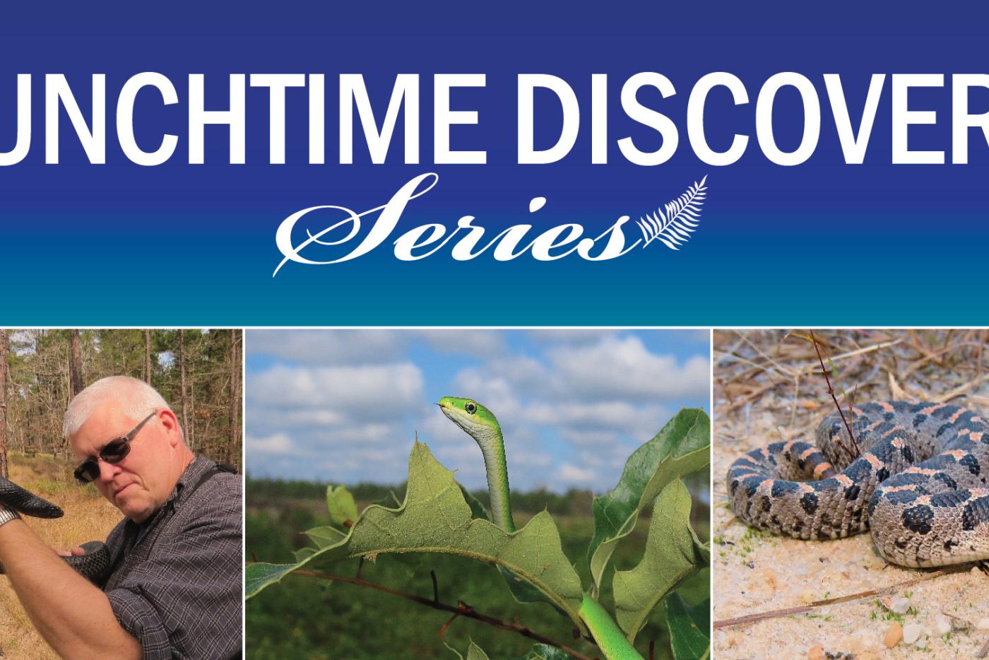 graphic for Jan 22 talk 