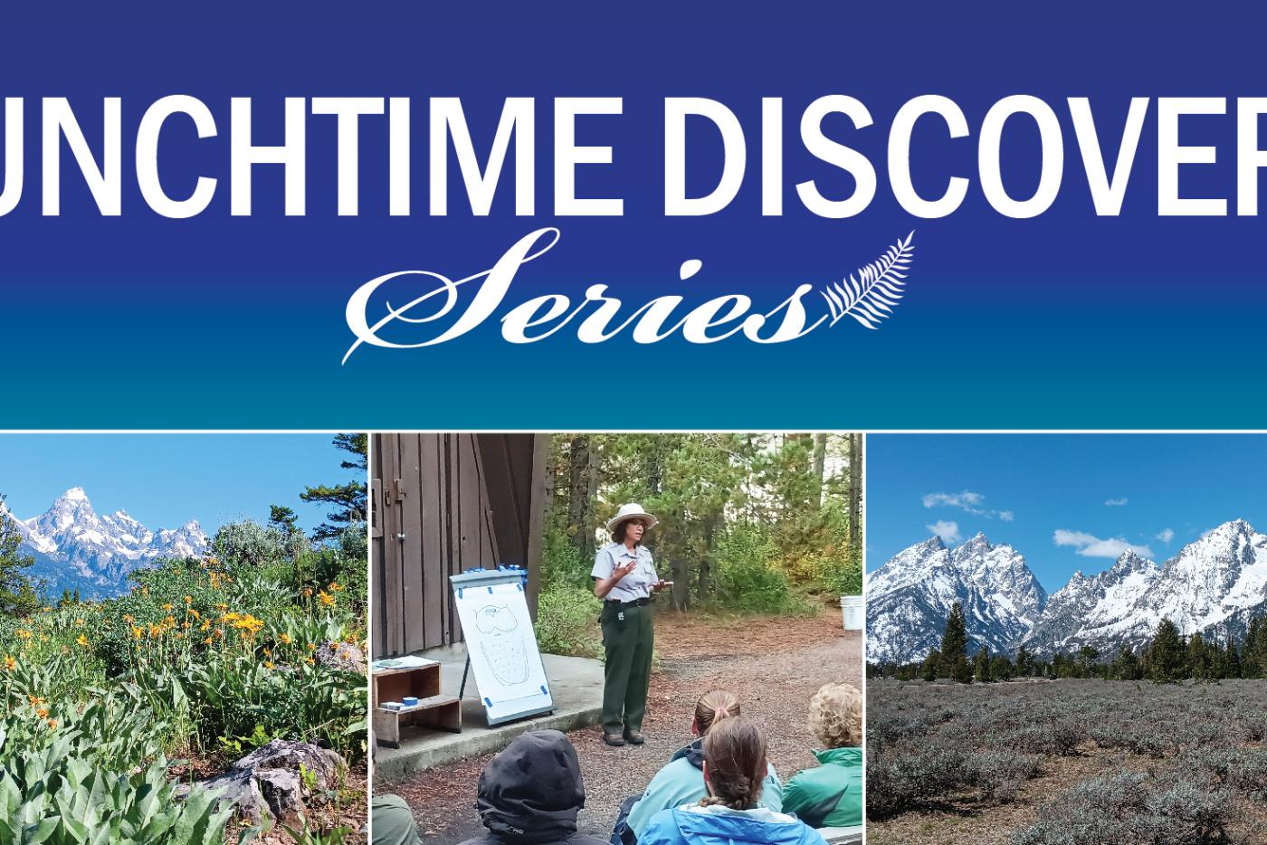 graphic for Jan 29 talk 