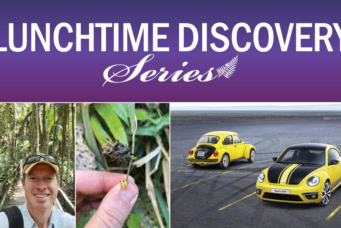 graphic for Nov. 19 talk at noon