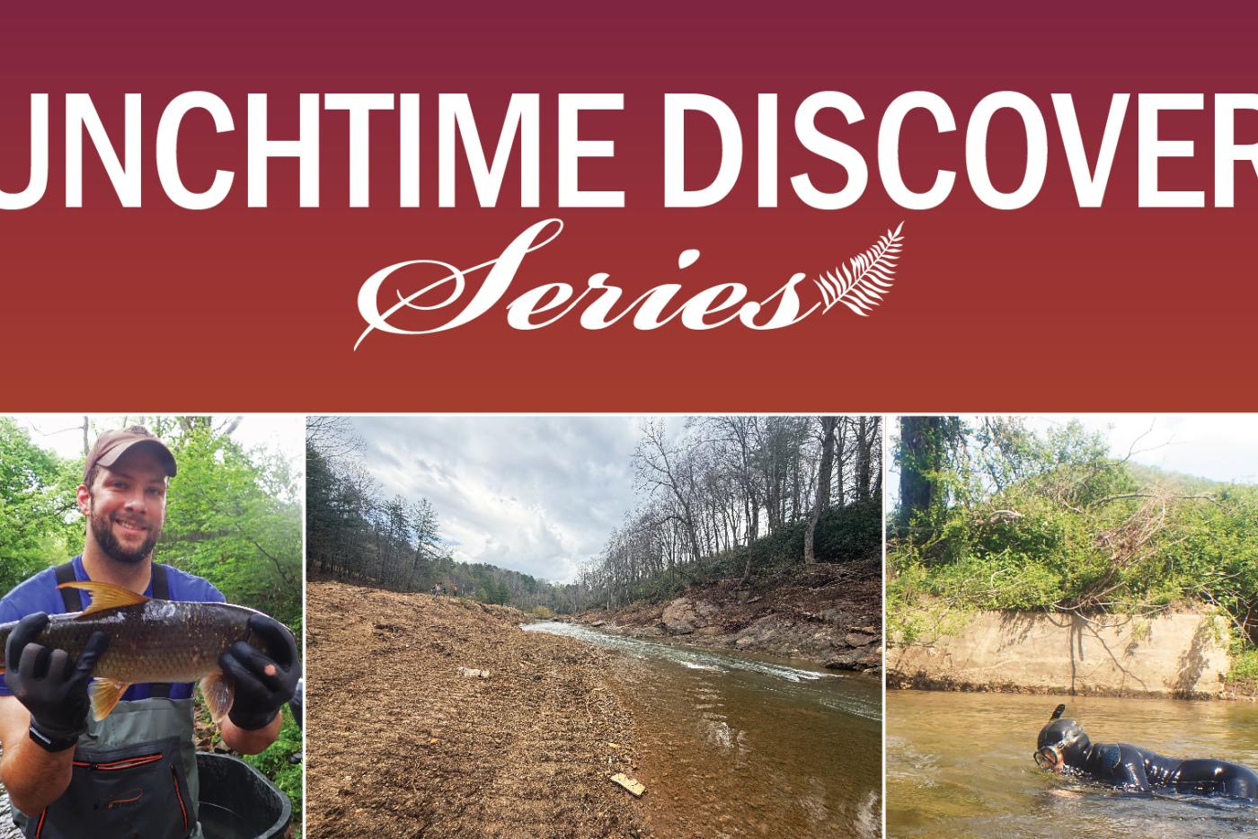 graphic for Oct 15 talk at noon