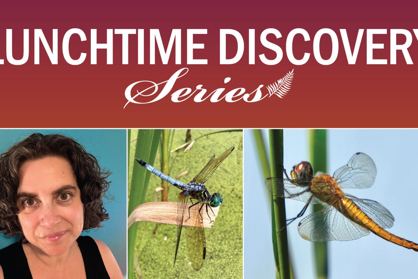 graphic for Oct. 8 talk at noon