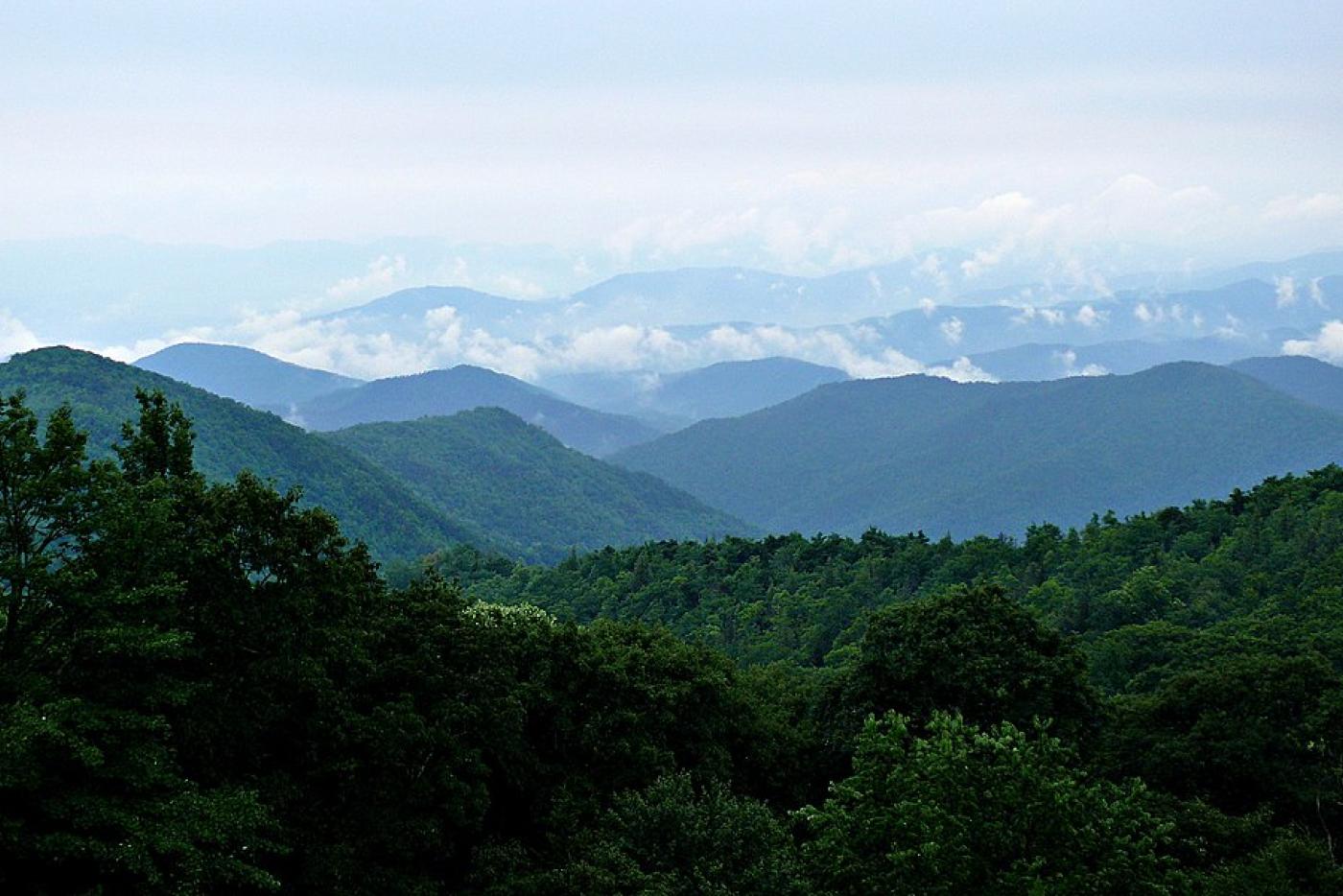 Hazy blue ridge mountains profile with green trees in front and blue tinted skies.