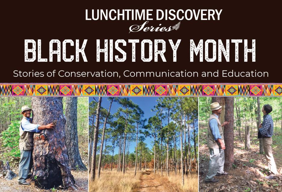 Earl Ijames and Longleaf pine forest