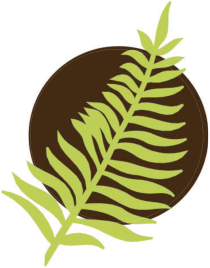 NC Environmental Education Certification Program fern logo