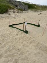 sea turtle nest on the beach