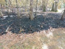 Area in Harnett County burned by a fire