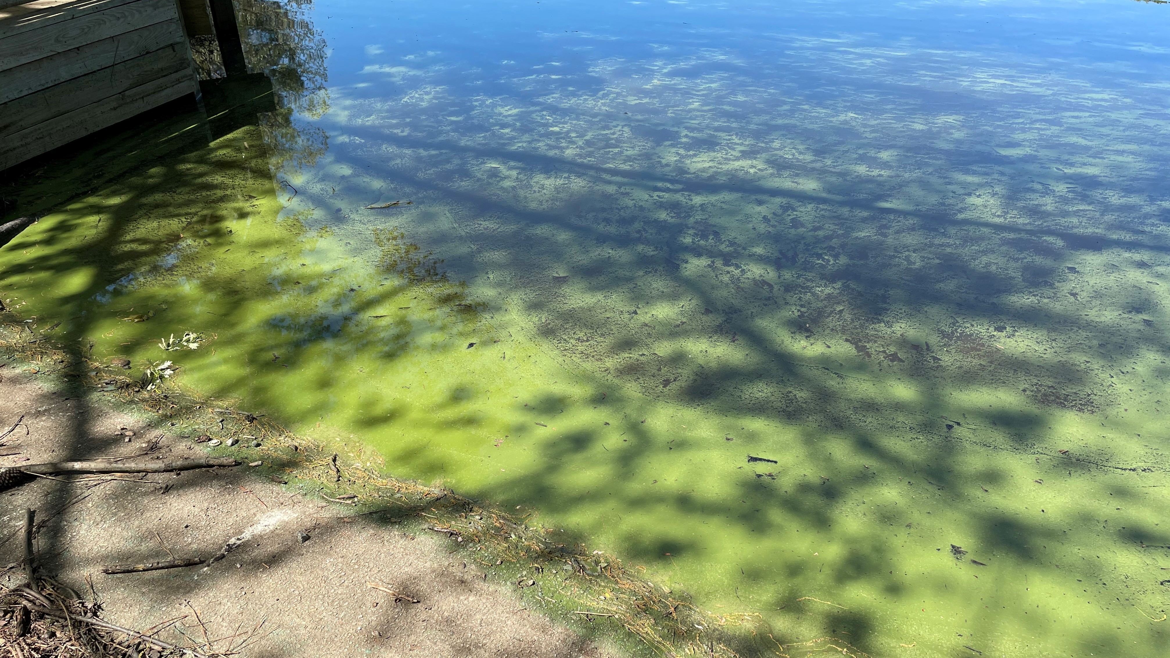 Division of Water Resources Algae Lab | NC DEQ