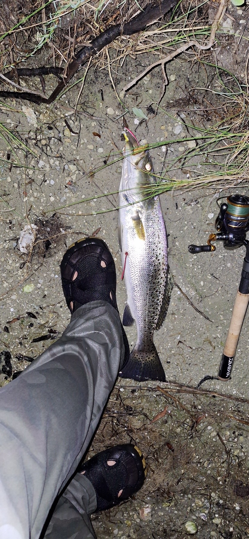 A spotted sea trout by someone's foot