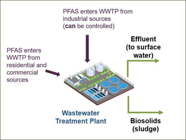 graphic showing PFAS moving through wastewater treatment
