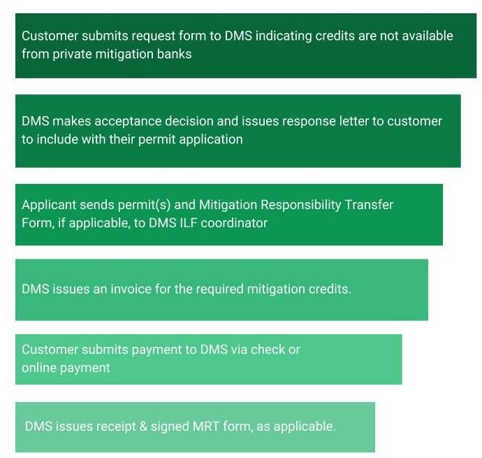 steps in customer process