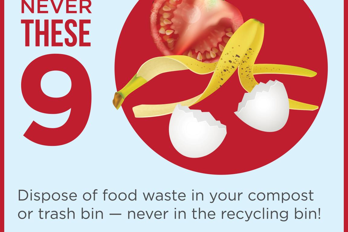 Never food waste