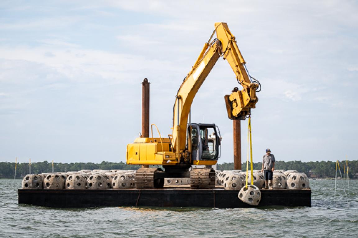 Coastal Fishing Information NC DEQ
