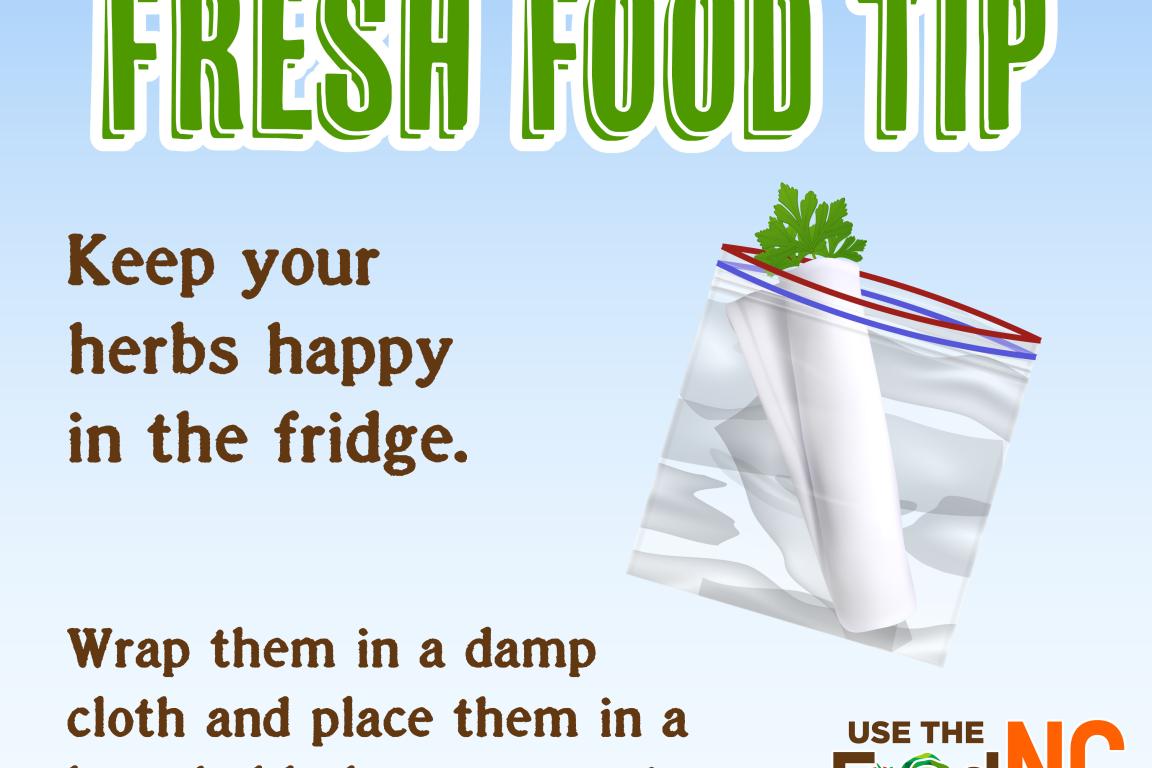 Cartoon of herbs wrapped in paper towel in plastic bag. Keep your herbs happy in the fridge.