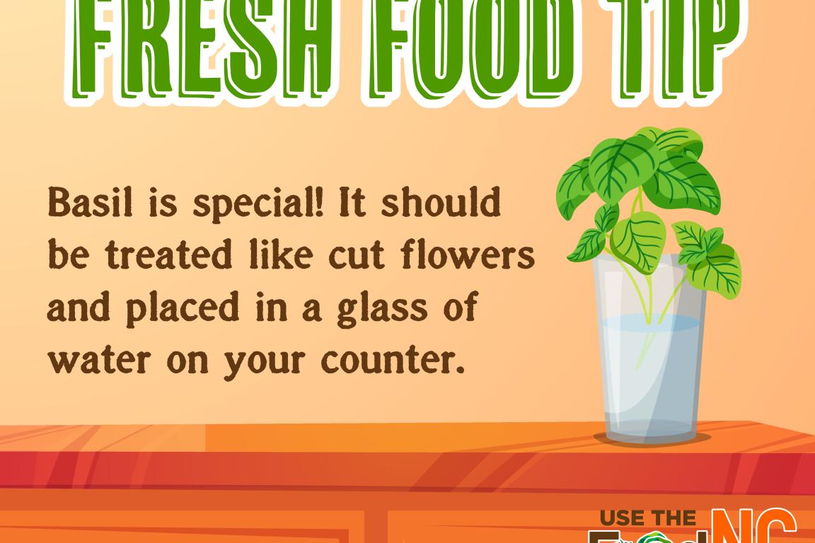 Cartoon of basil on counter. Put basil in a glass of water on the counter like cut flowers.