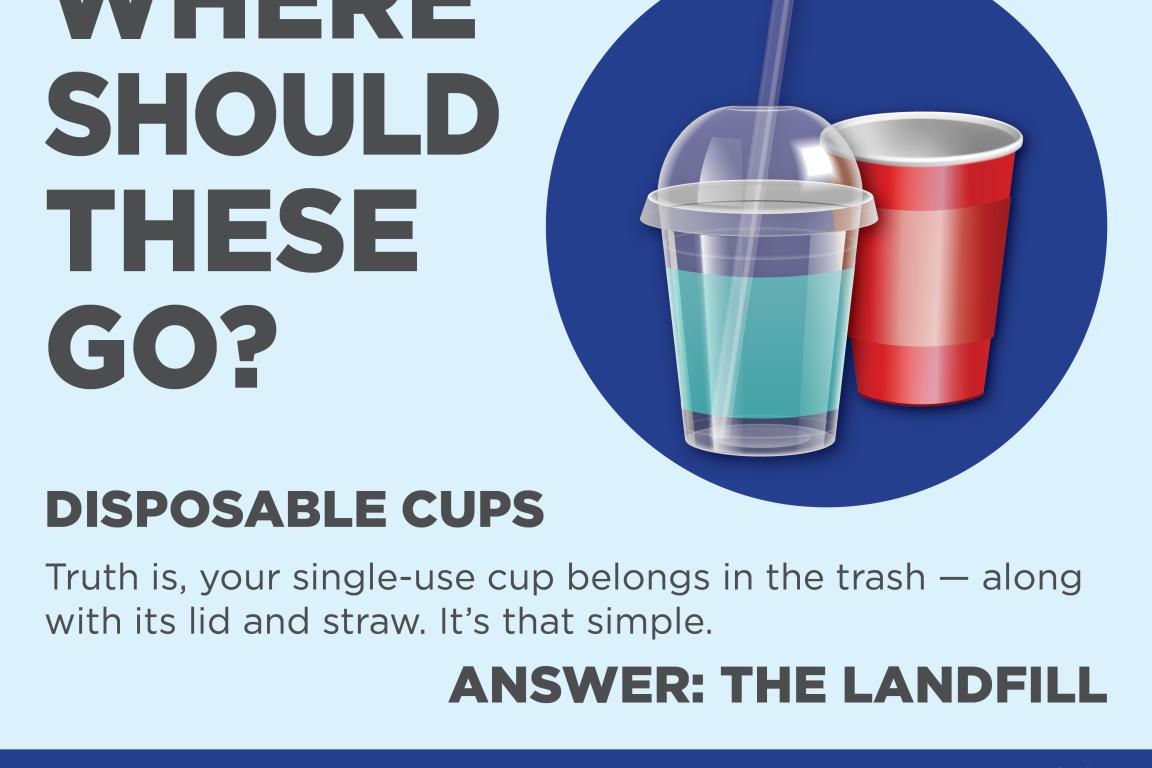 Disposable Cups