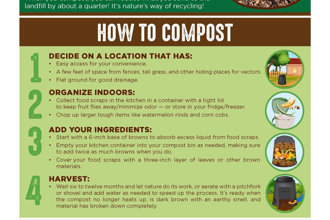 How to backyard compost and what to include