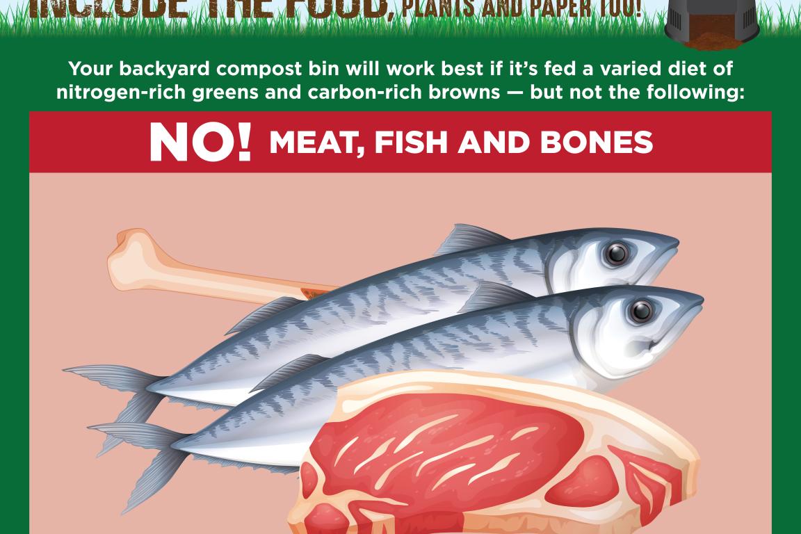 Composting at Home social media graphic instructing that meat, fish, and bones should not go in the bin.