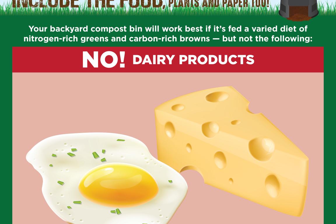 Composting at Home social media graphic instructing that dairy products should not go in the bin.