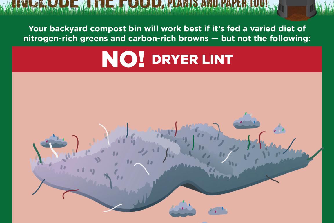 Composting at Home social media graphic instructing that dryer lint should not go in the bin.
