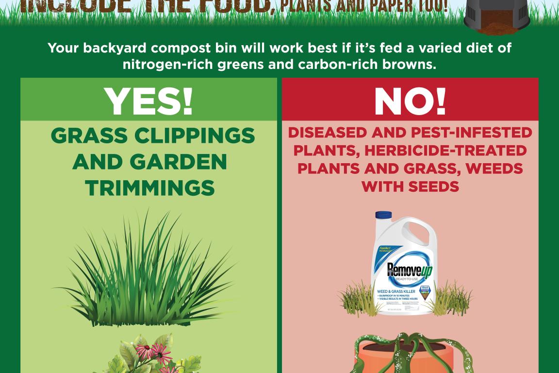 Composting at Home social media graphic instructing which plant trimmings should and should not go in the bin.