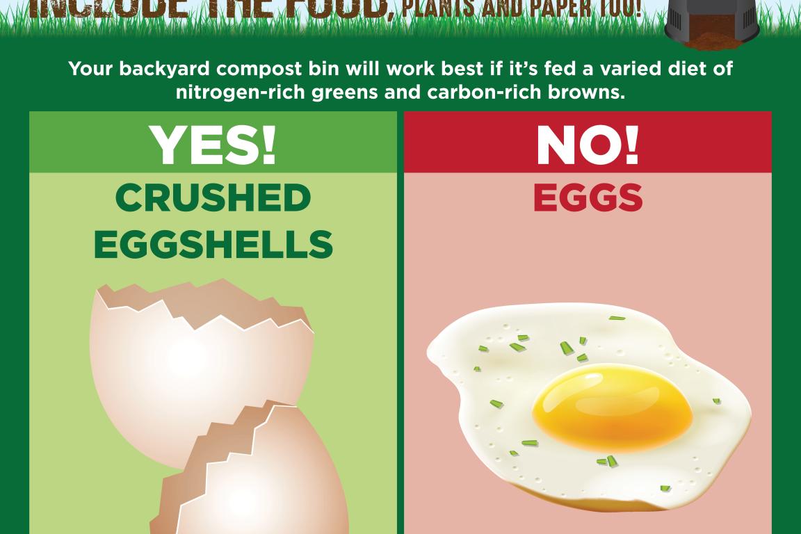 Composting at Home social media graphic instructing that eggshells should go in the bin while eggs should not.