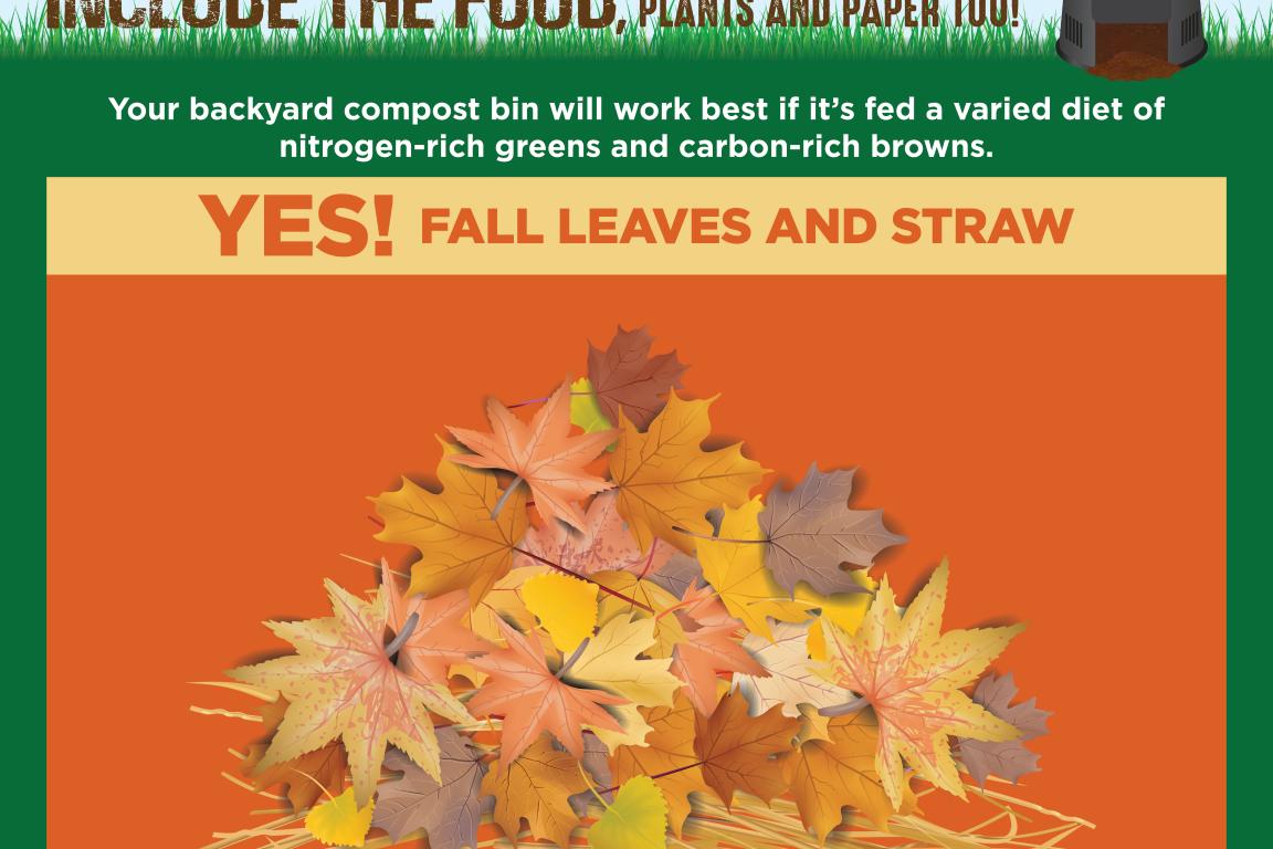 Composting at Home social media graphic instructing that fall leaves and straw should go in the bin.