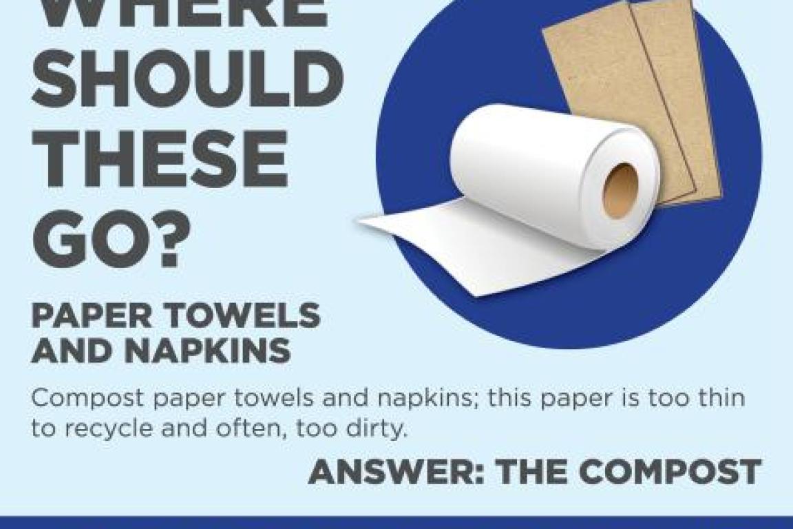 Paper Towels and Napkins