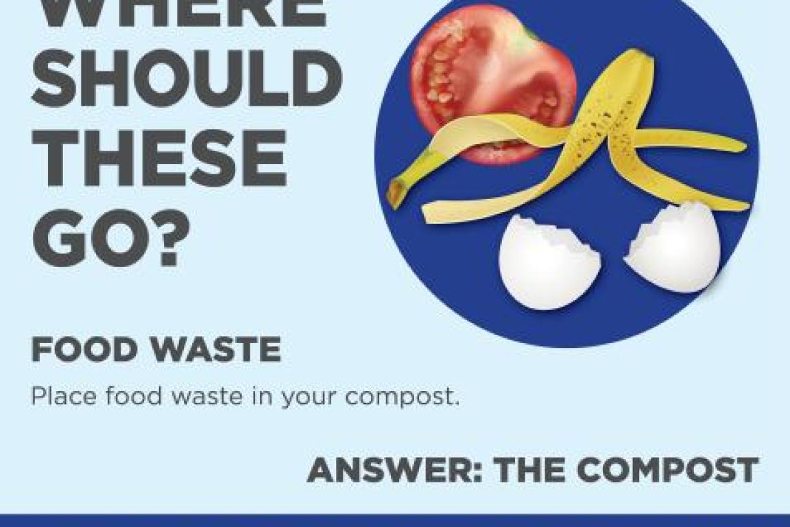 Food Waste