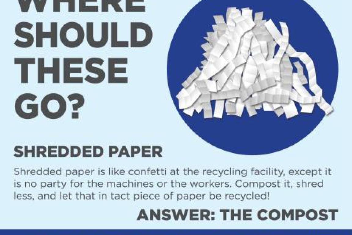 Shredded Paper