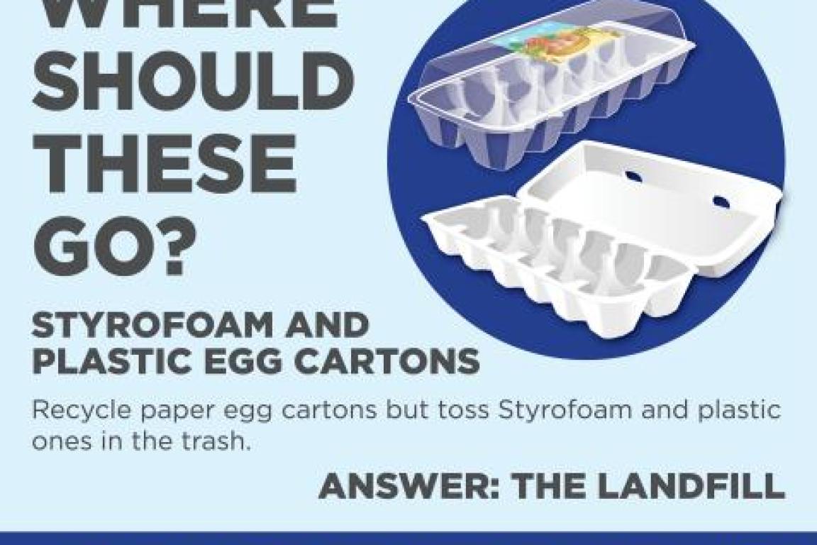 Styrofoam and Plastic Egg Cartons
