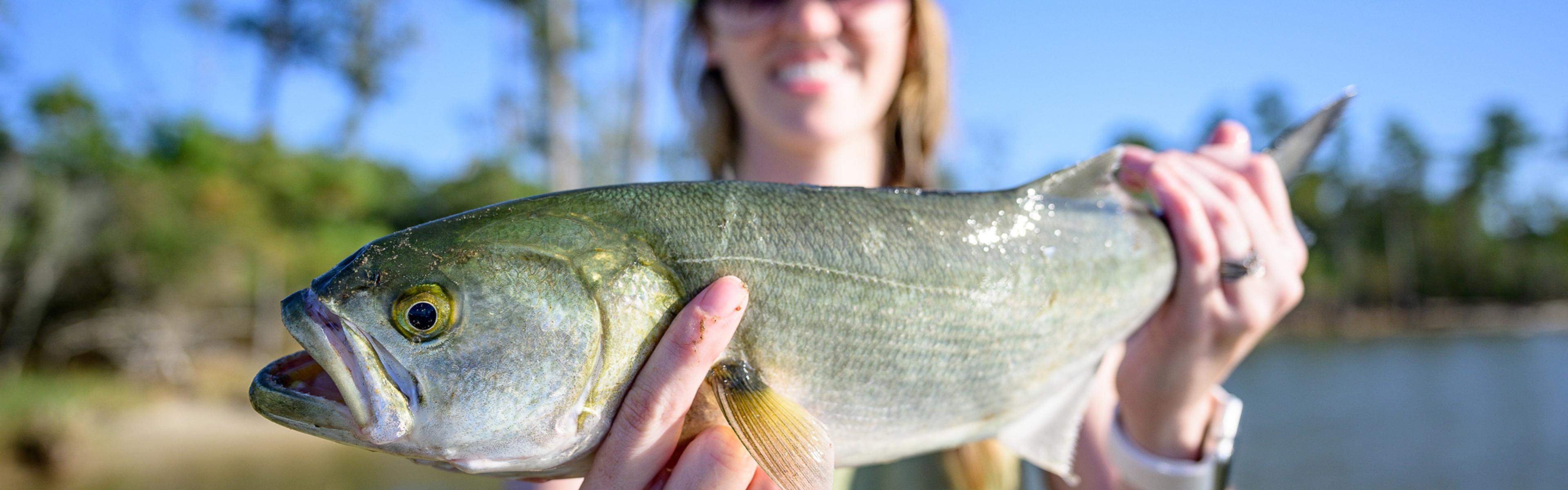 woman holding up a bluefish