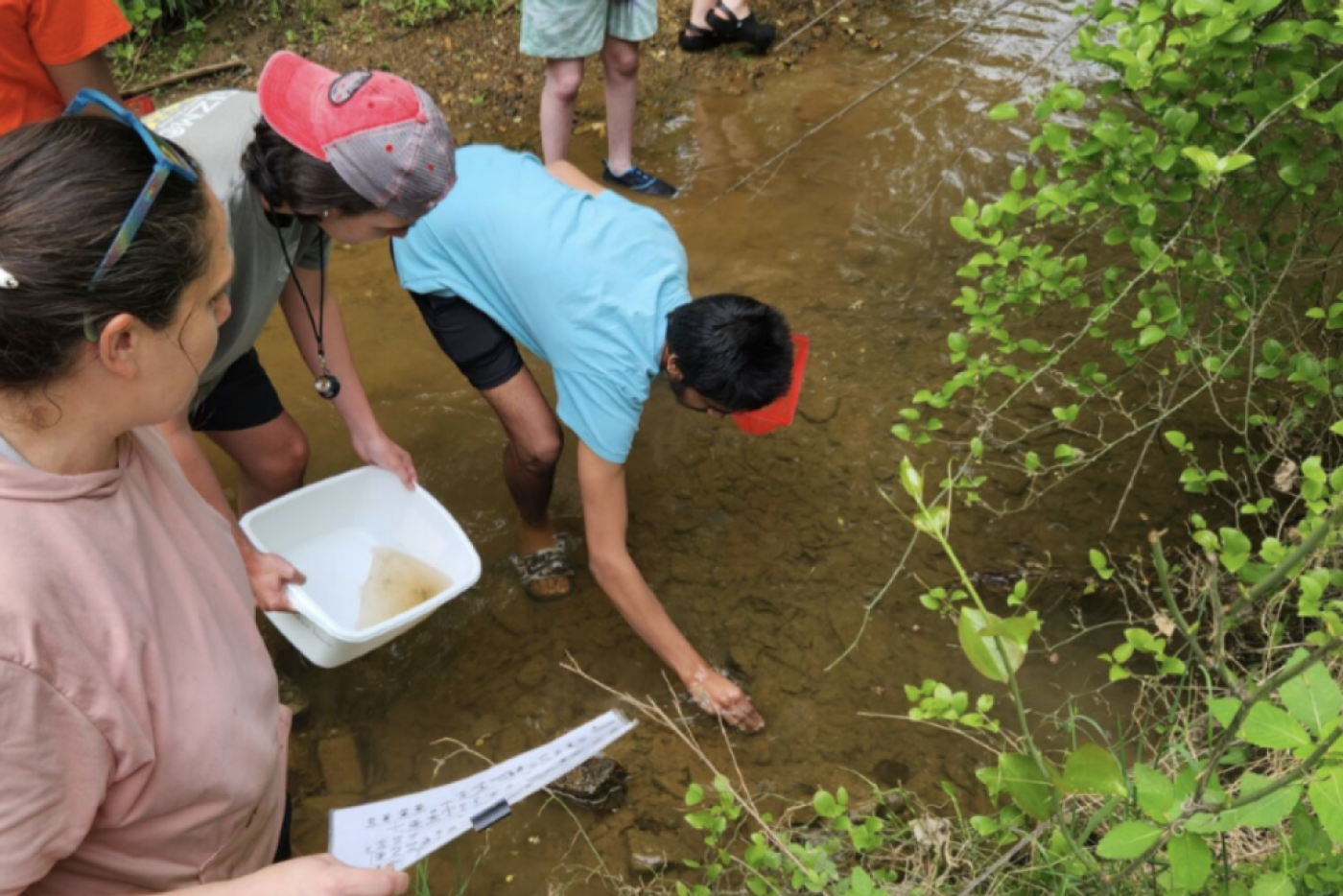 Students reaching into a creek