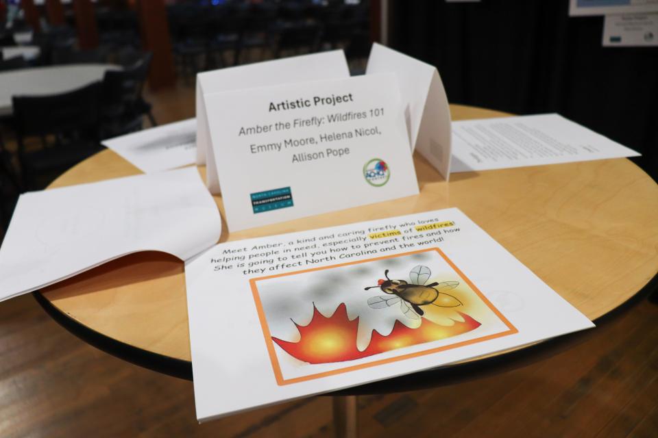 An example of an artistic AQ-IQ project featuring illustrations.