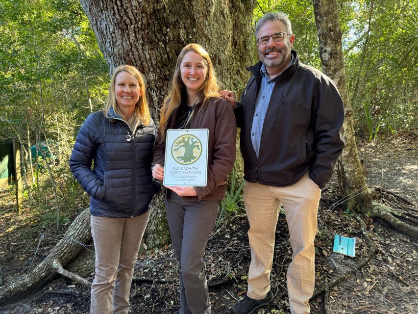 Three people stand in front of a large live oak tree