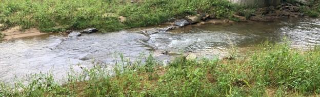 Channel Bed Stabilization example