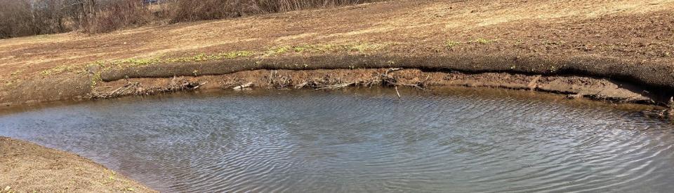 Unacceptable wood structure streambank and shoreline protection effort.