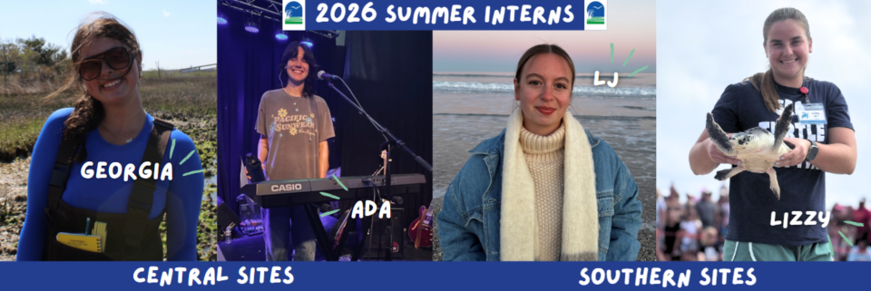 Collage of the 2026 reserve interns, Georgia, Ada, LJ, and Lizzy.