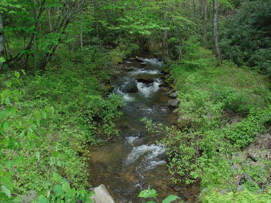 North Carolina Stream