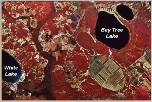 An infrared photo of Carolina Bays